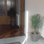 Apartman Branka