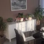 Branka Apartment *