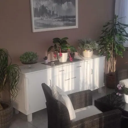 Branka Apartman *