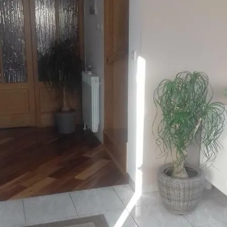 Apartment Branka